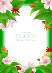 四季の花や葉のフレームデザイン｜桜,青葉,紅葉,楓のリアルなベクターイラスト