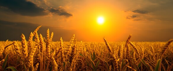 The significant impact of climate change on global agricultural productivity remains critically important.