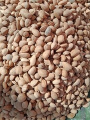 A neat pile of almonds (Prunus dulcis) displayed for sale in the market, dry brown seeds with natural texture, healthy snack concept, organic food and agriculture product background