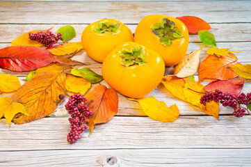 【秋の味覚】落ち葉と柿