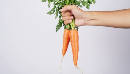 Fresh organic carrots held in hand, vibrant orange, healthy eating concept, farm fresh produce, simple studio