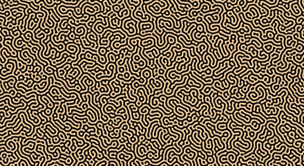 An intricate seamless abstract organic pattern resembling a reaction diffusion system or a complex maze in beige on a black background.