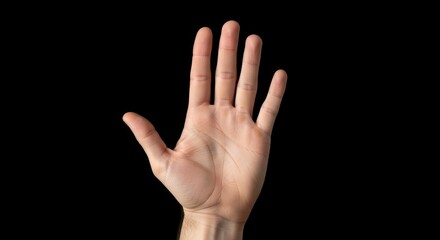 Open Palm Against Black Background, Hand, Human, Fingers