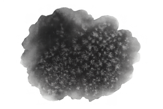 Abstract black watercolor stain with organic shape and textured inside, creating an inkblot splash on transparent background