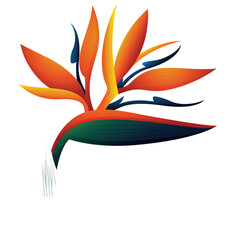 Vibrant Bird of Paradise Flower with Orange Petals and Blue Accents on a Transparent Background