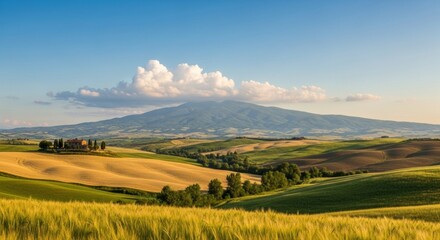 Naklejka premium Golden Tuscan Hills Under a Cloudy Sky, Tuscany, Italy, Landscape