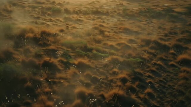 Misty Moorland Landscape Atmospheric Golden Hour, Scottish Highlands