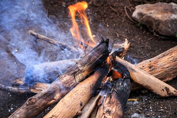 Crackling Campfire with Burning Wood and Rising Smoke