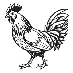 Stylized black and white drawing showcases a regal rooster standing tall against a white background