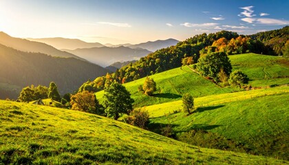 Obraz premium In der Natur