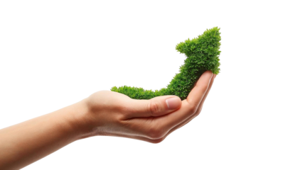 Hand Holding Green Moss Arrow on Transparent Background – Sustainable Growth Symbol PNG