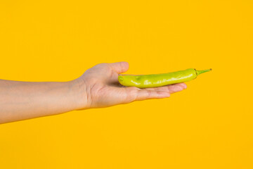 Green sweet pepper in hand on yellow background