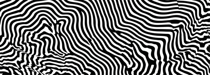 Motivo astratto di linee curve bianche e nere, un disegno grafico moderno e dinamico