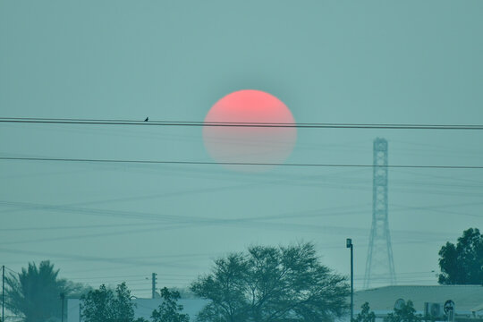 Doha, Qatar - November 15, 2025: A striking red sun sets behind a hazy sky, creating a dramatic and atmospheric scene. Silhouettes of power lines, a lone bird perched on the wire. - Powered by Adobe