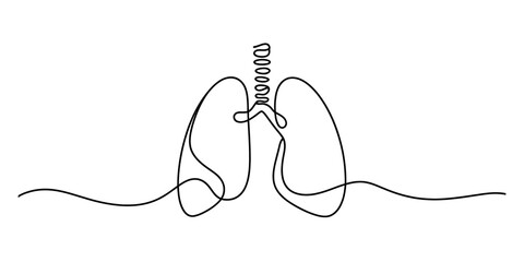 One line art of human lungs and trachea. minimalist medical illustration representing the respiratory system, breathing, and health concepts.