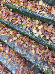 autumn leaves on steps of stairs. Fallen leaves