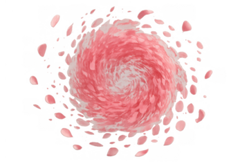 Pink rose petals swirling in a magical vortex, symbolizing love, romance, spring, and celebration on a transparent background