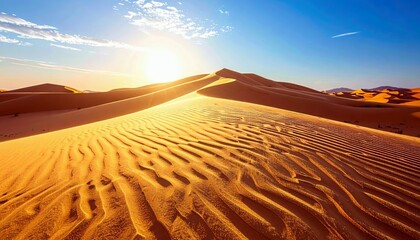 Vast desert landscape with undulating sand dunes, illuminated by the warm glow of the sun, under a clear blue sky.