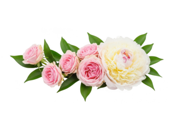 A beautiful floral arrangement of pink roses and a large white peony with green leaves, isolated on transparent background