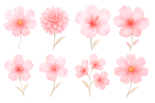 Beautiful collection of eight pink floral varieties such as dahlia, cosmos, and cherry, isolated against a transparent PNG backdrop. - Powered by Adobe