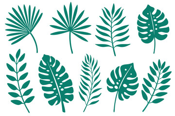An emerald collection of tropical leaves are positioned across a bright white isolated surface