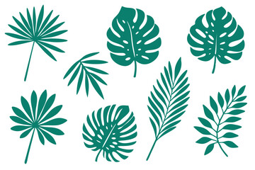 Assorted palm and monstera leaves showcase vibrant teal shades against a white background