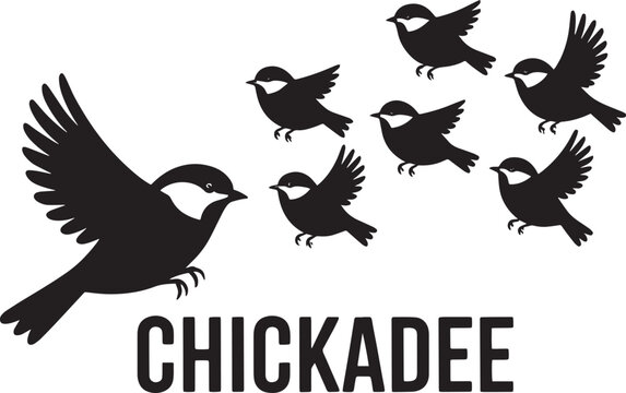 Black-capped chickadee bird silhouette set flying and perching over square background graphic vector illustration