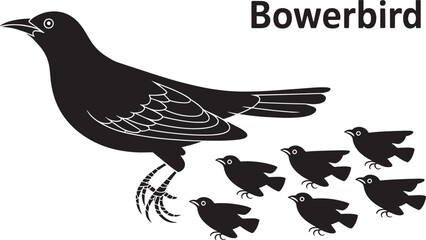 Bowerbird species standing side view with small flock of identical birds monochrome vector silhouette graphic