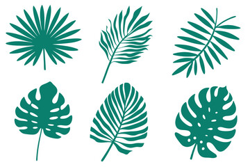A fresh tropical foliage collection showcases elegant green palm and monstera leaf shapes