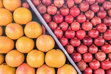 Lime (fruit),  green orange fruit, pomegranate fruit, Pomegranate fruit on a tree in a pomegranate garden. Selective focus, shallow depth.