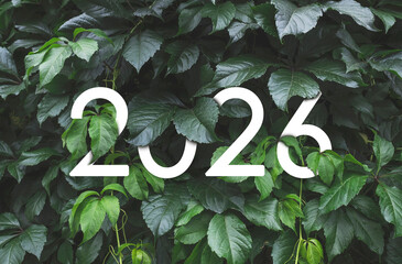 2026 New year white text hidden in natural green leaves wall
