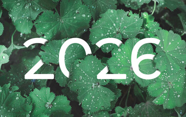 2026 New year white text hidden in natural green leaves