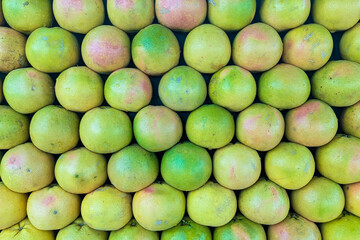Lime (fruit),  green orange fruit, pomegranate fruit, Pomegranate fruit on a tree in a pomegranate garden. Selective focus, shallow depth.