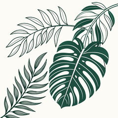 A handdrawn illustration of tropical leaves, showcasing lush foliage and botanical beauty, isolated on, perfect for naturethemed designs and summer promotions