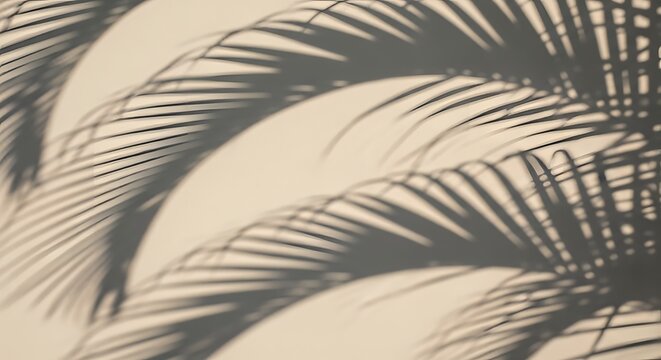 Close-up of palm tree shadows cast on a smooth surface creating an abstract and artistic pattern with natural light and shadow effects