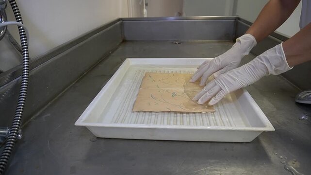 Gloved hands wash the paper drawing in a cuvette with water. Archival restoration, sheet alignment, laboratory workplace.