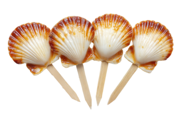 Four cooked scallops on wooden skewers, presented against a black background