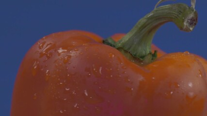 Cinematic rotation of an orange bell pepper with water droplets, vibrant color against blue background. - Powered by Adobe