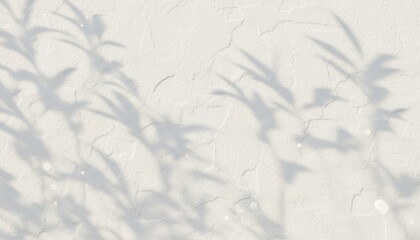 Abstract plant shadows on a textured white wall with cracks, forming an organic pattern in natural sunlight.