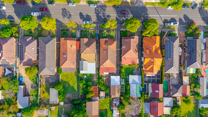 Fototapeta premium Aerial Panorama Drone View of a inner western Sydney Suburb of Ashbury Urban Sprawl and the terracotta roof tops streets and trees of Suburban Sydney NSW Australia