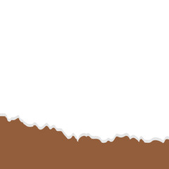 Ripped Paper Footer