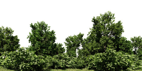 3d Lush Green Foliage and Dense Tree Line in a Natural Landscape with a Dark Background