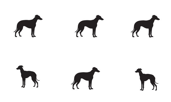 Silhouettes of greyhounds and adobe illustrator icon