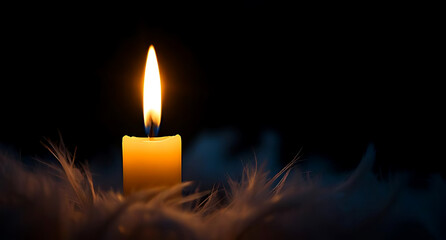 Single Candle Flame Illuminating Soft Feathers in Darkness