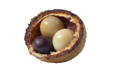 Cracked fruit husk holding glossy smooth spheres inside