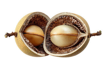 A halved nut shell revealing two smooth, creamy kernels inside