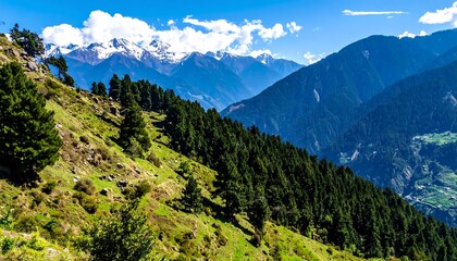 Lush green mountainside with snow-capped peaks in the distance.