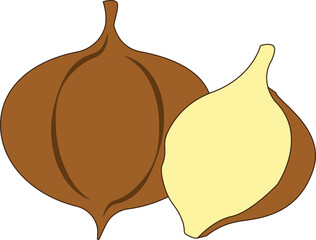 Jicama Fruit Flat Design Cartoon Icon Illustration