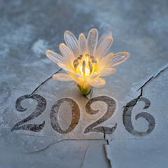 Glowing Flower Ascending from the Markings of a Year in a Stone Slab