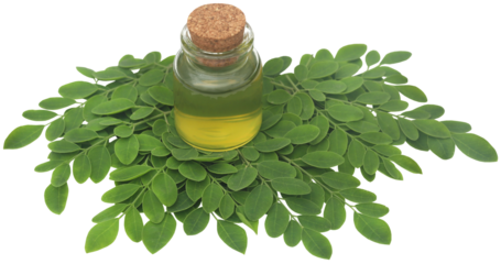 Moringa leaves with extract
